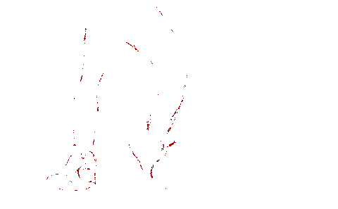 Animation des peintures